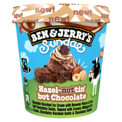 Ben & Jerrys Hazel-nuttin but Chocolate 465ml